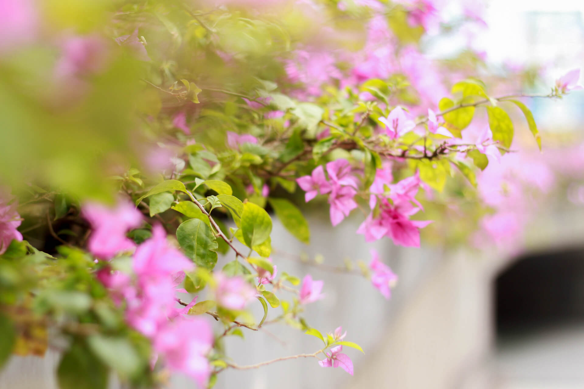 photoforstory china 35