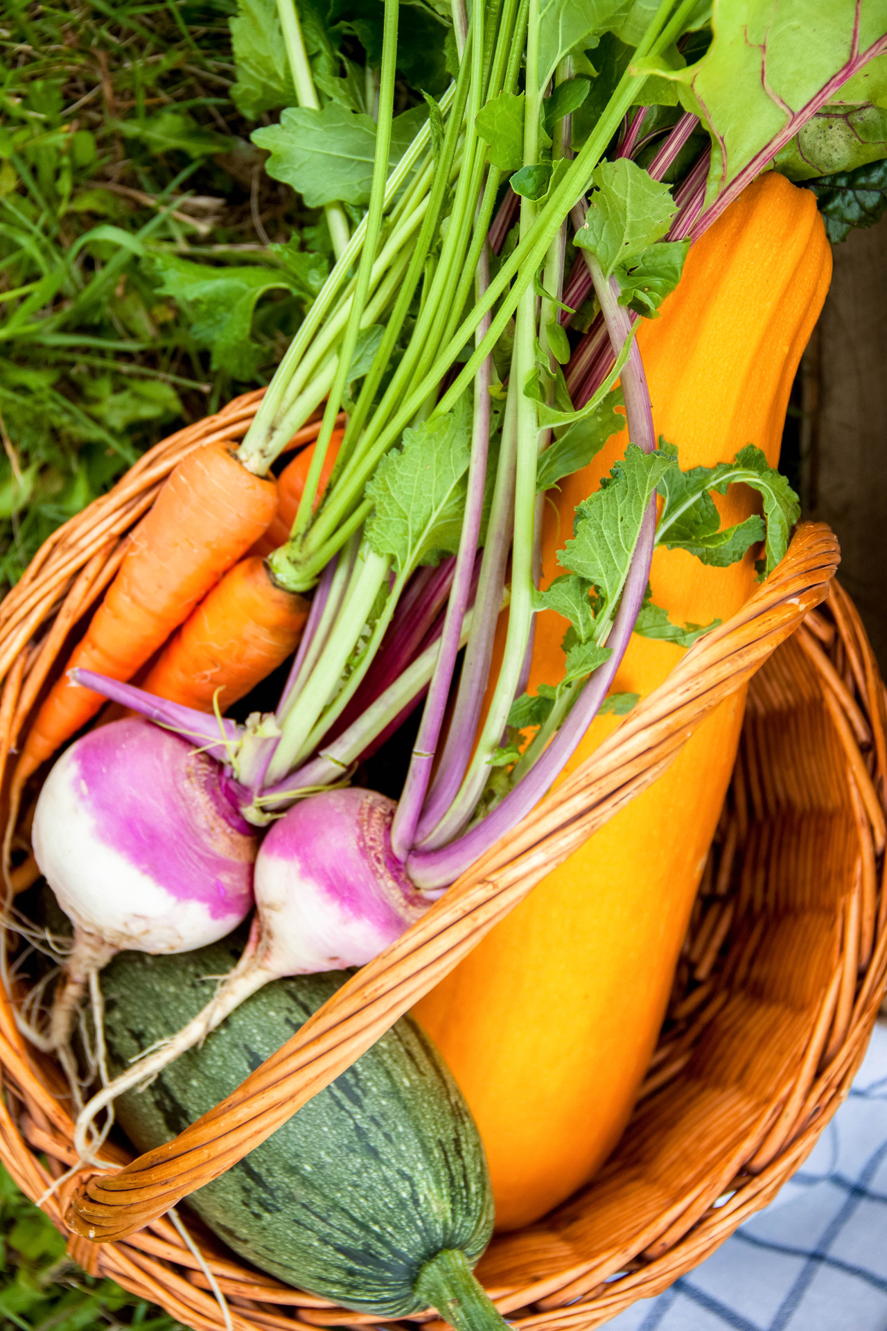 photoforstory family kras 2