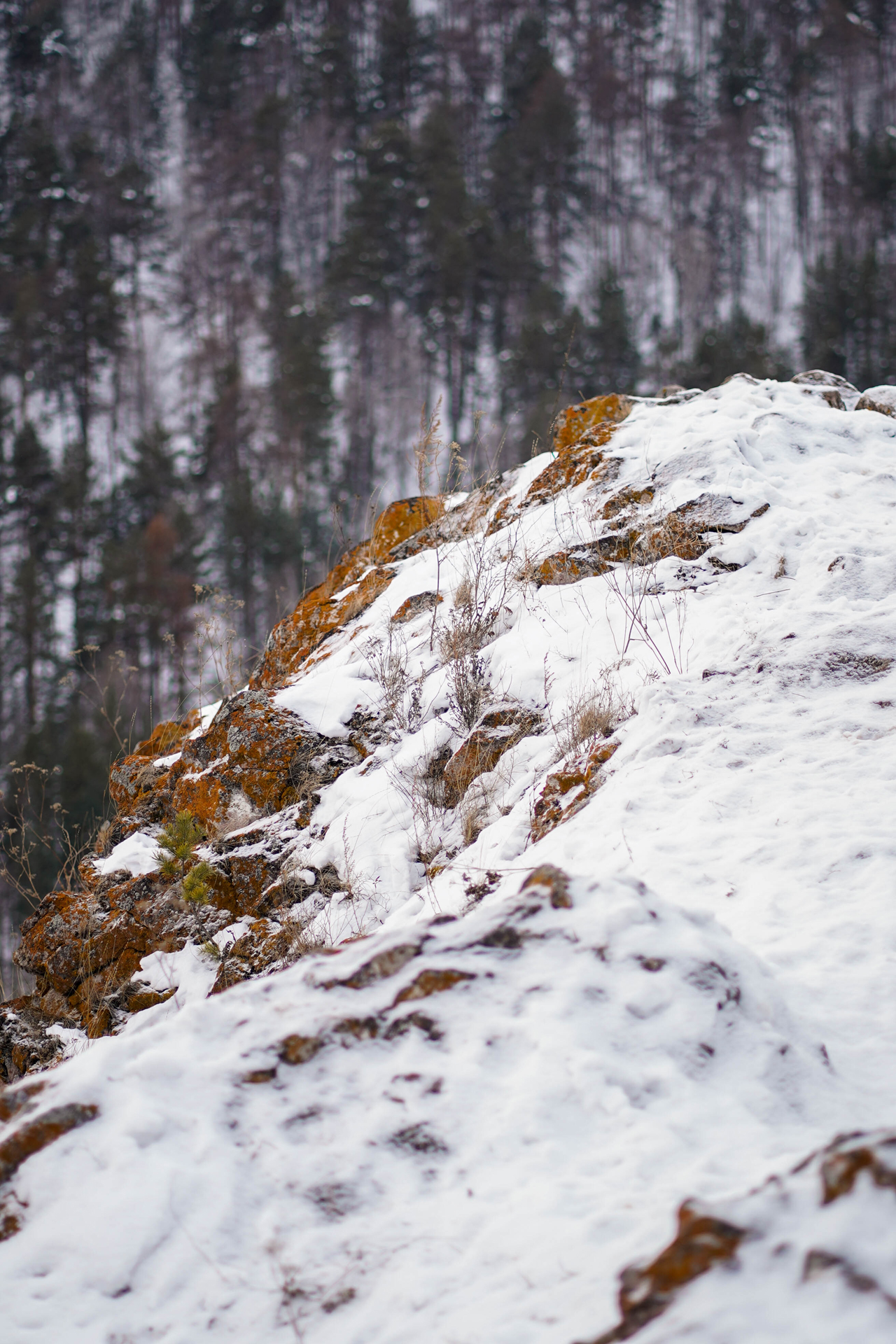 photoforstory familystory yuliya 17