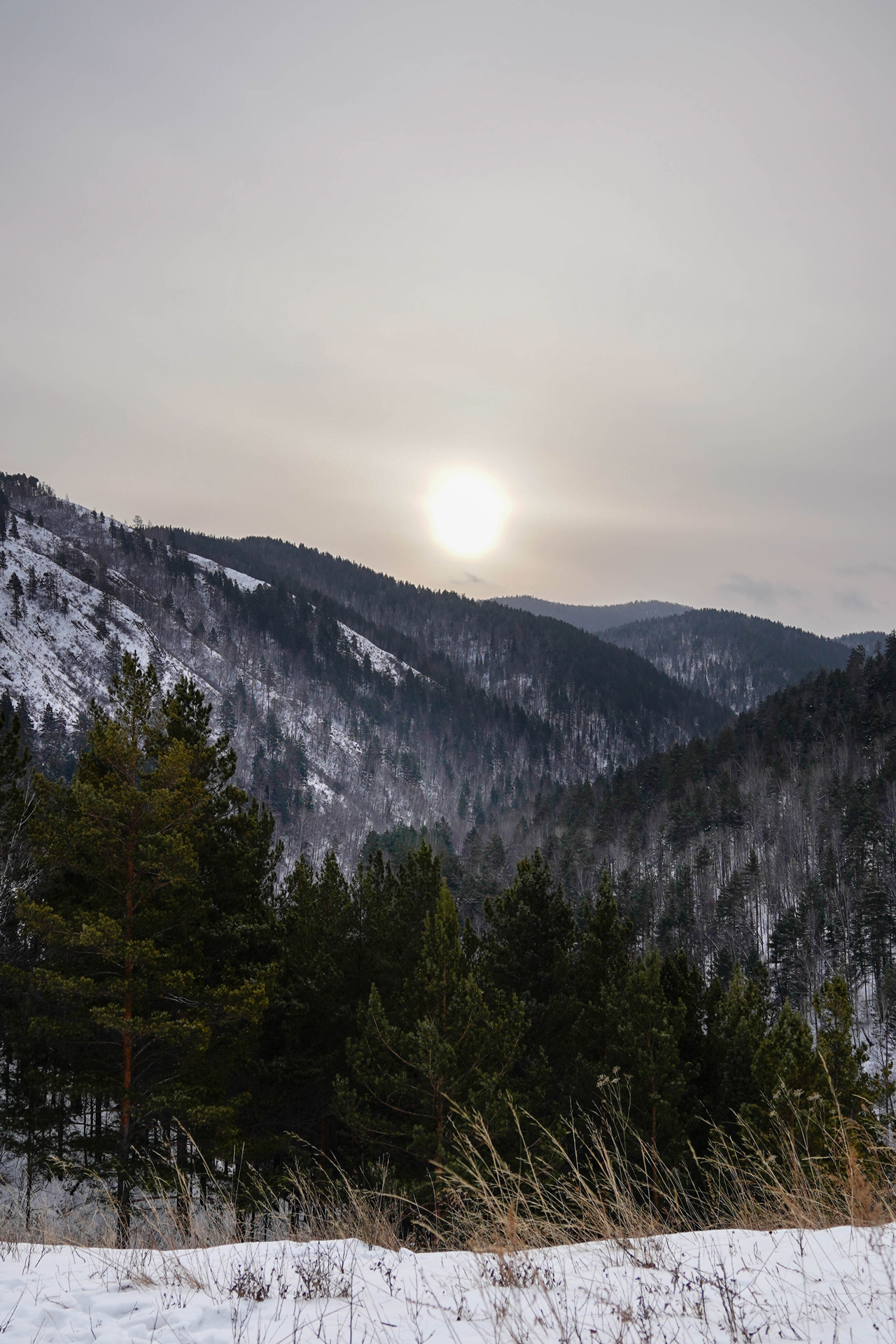 photoforstory familystory yuliya 26