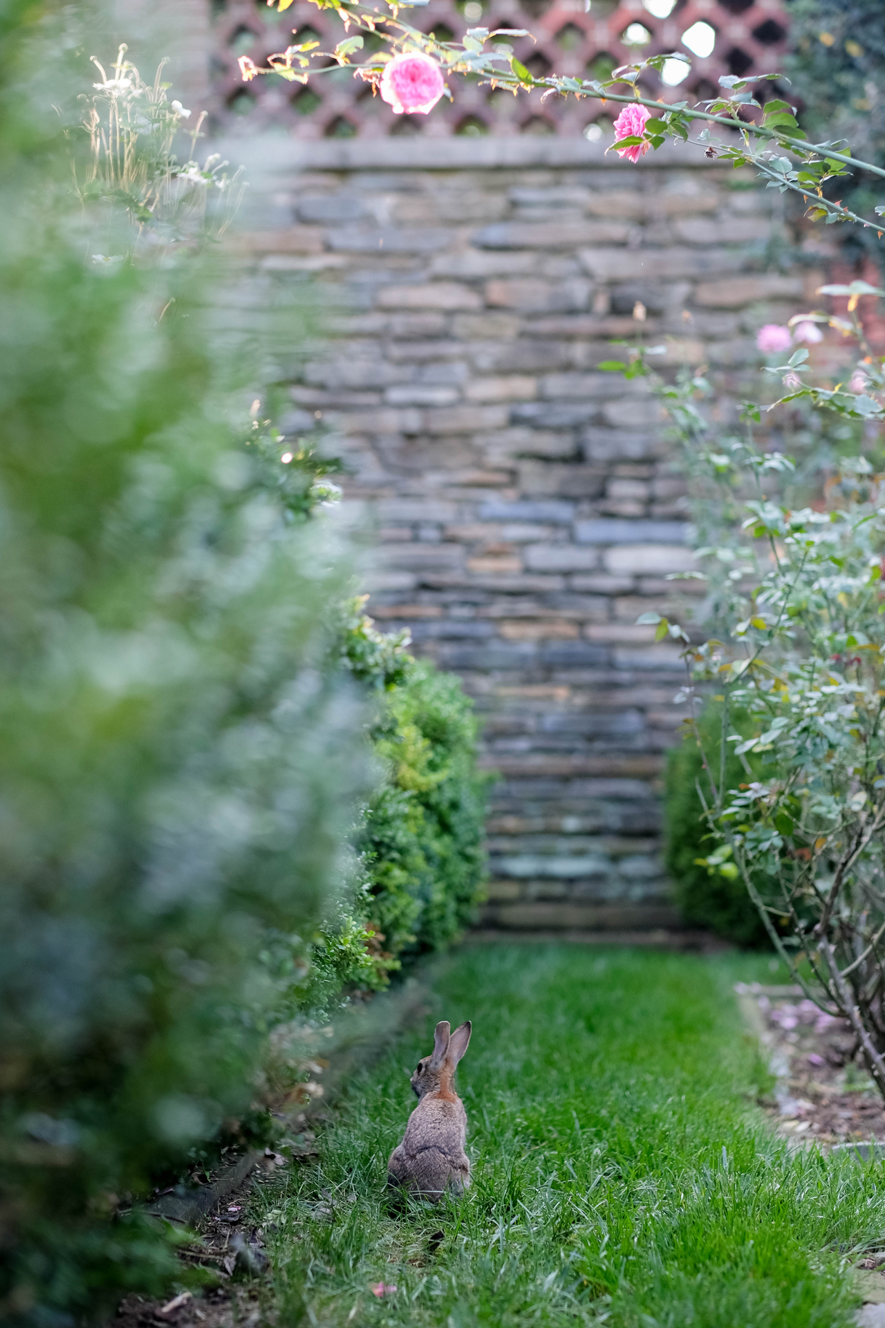 photoforstory lovestory washington 37