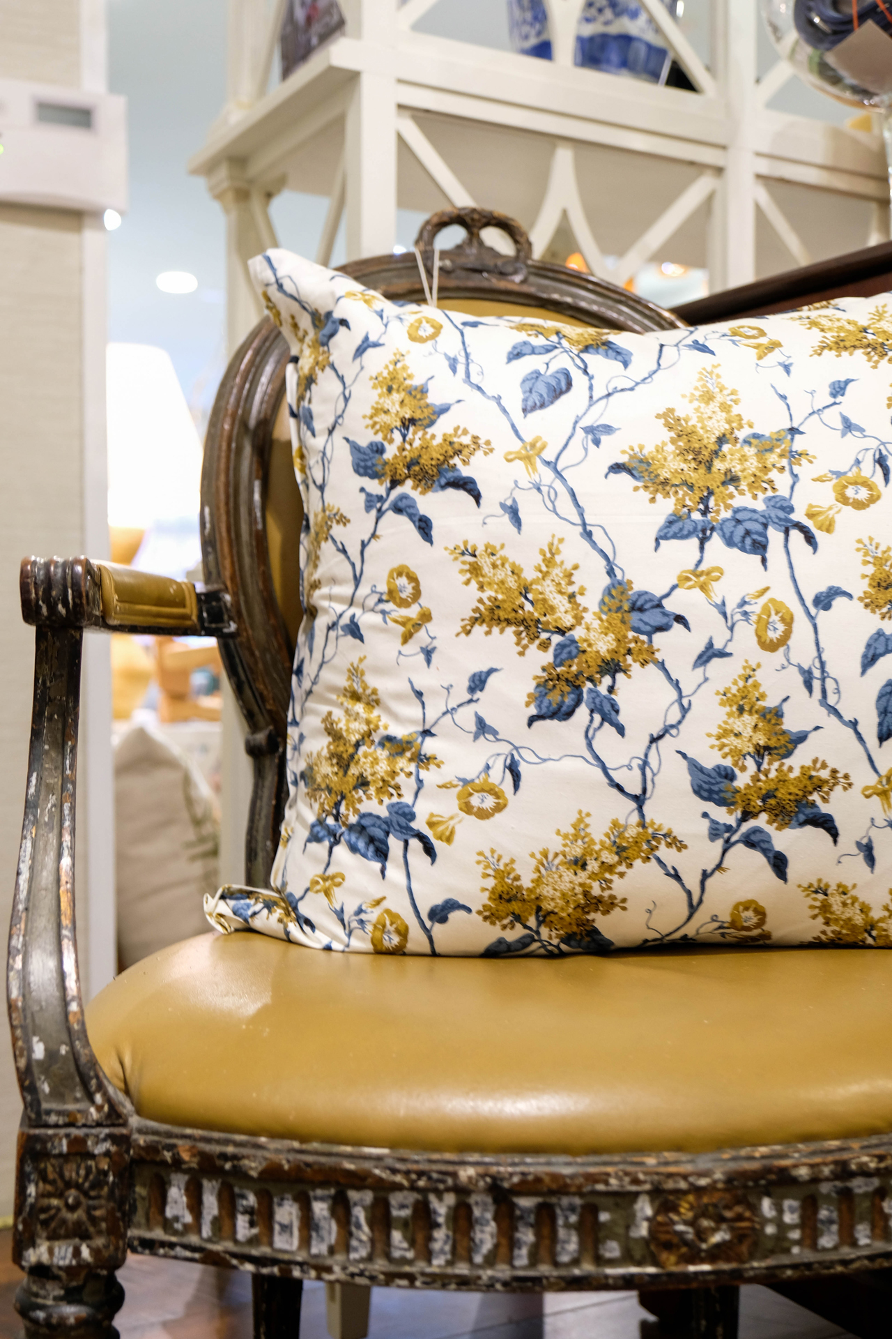 photoforstory project alexandria 21