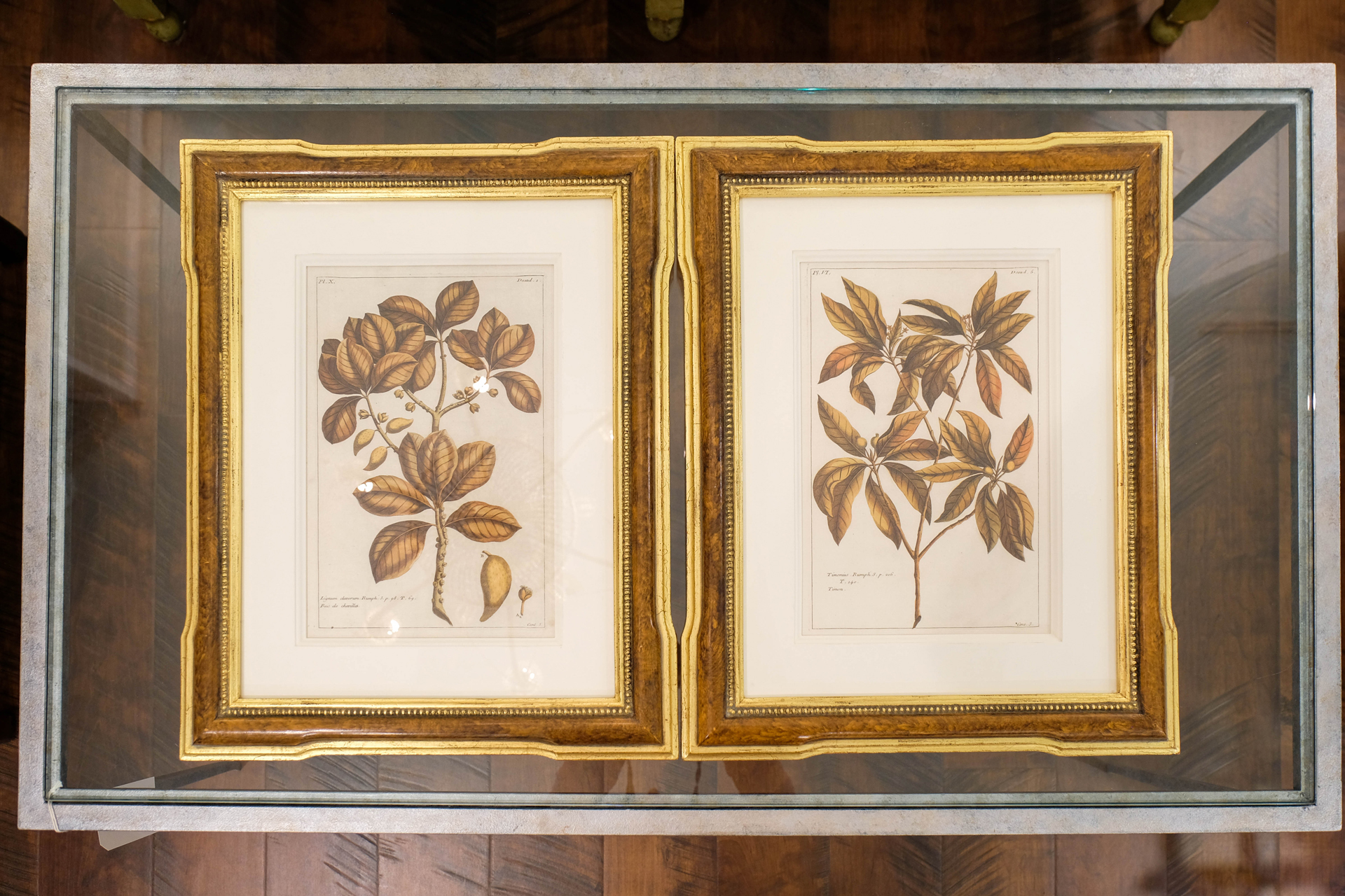 photoforstory project alexandria 27