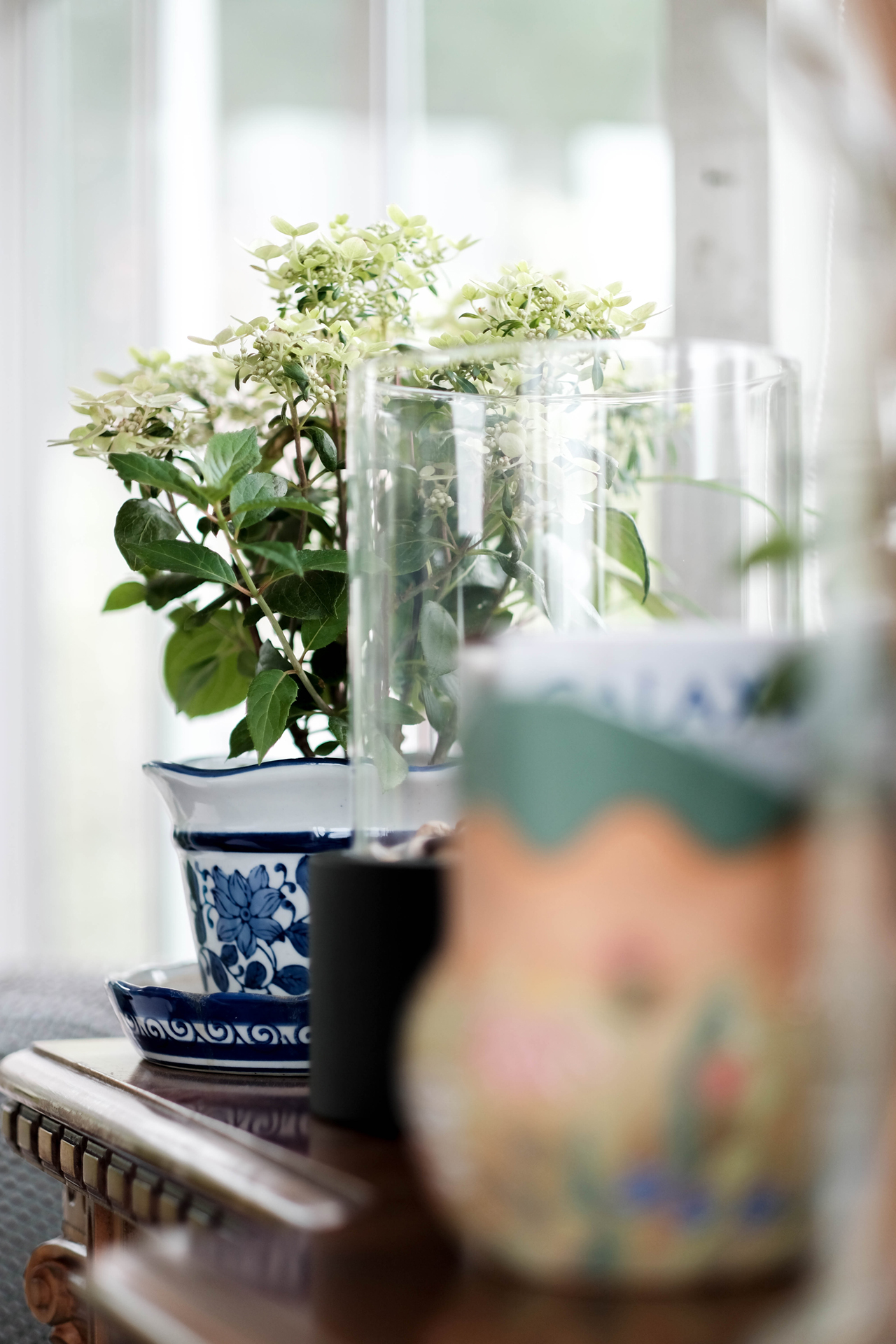 photoforstory project garden 100