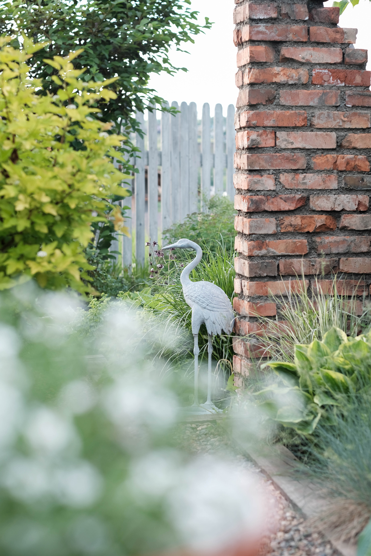 photoforstory project garden 15