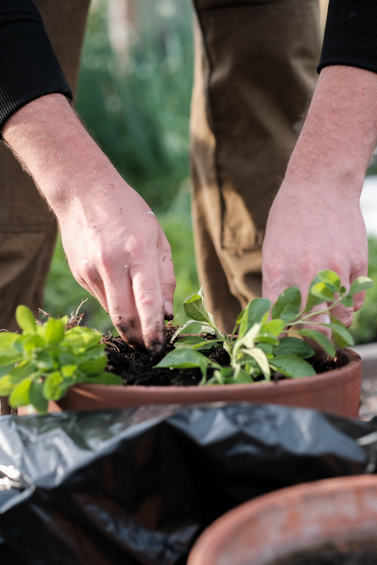 photoforstory project garden 19