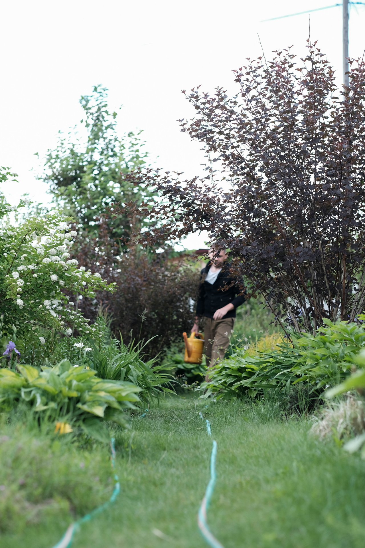 photoforstory project garden 24