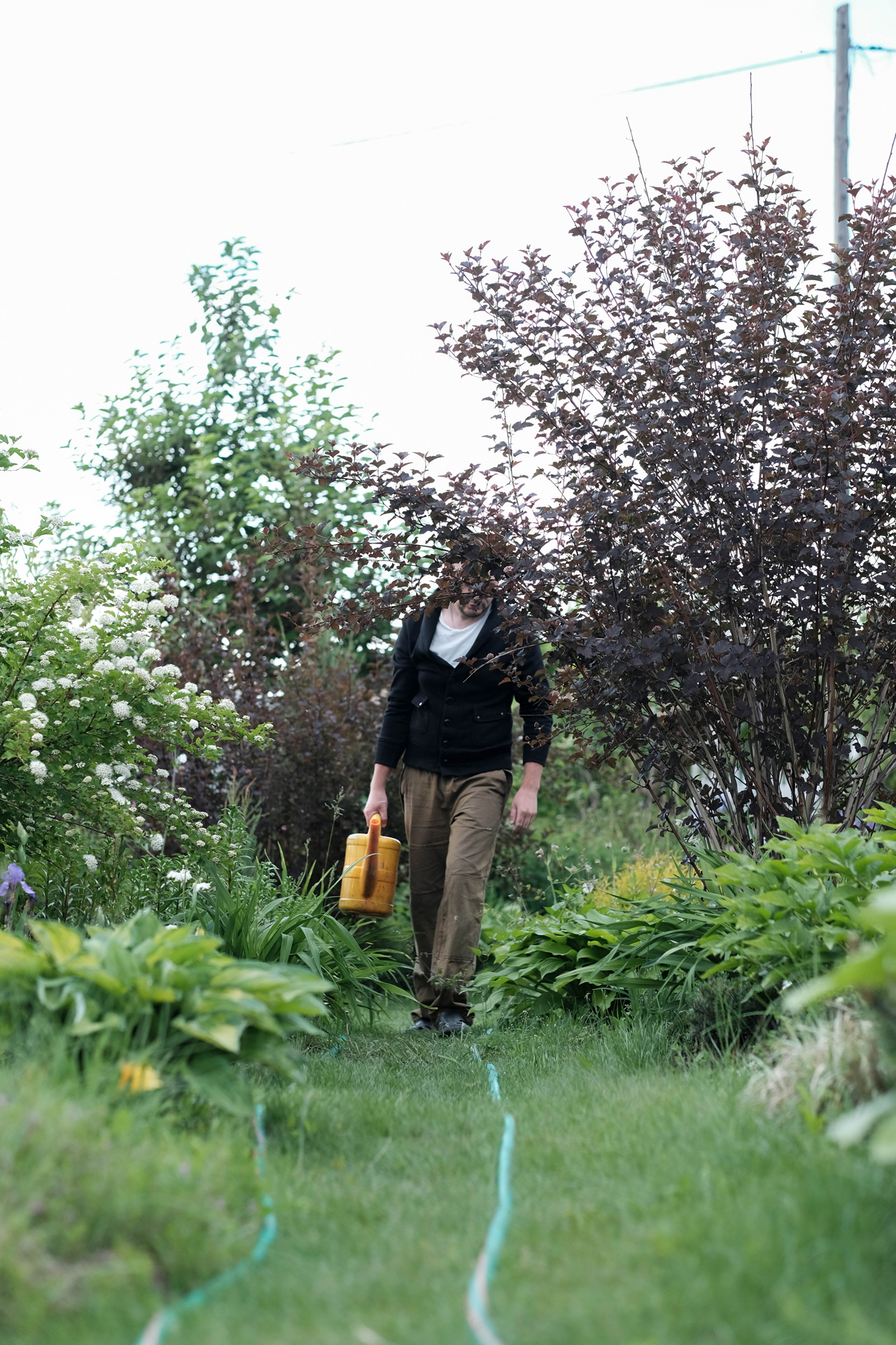 photoforstory project garden 25