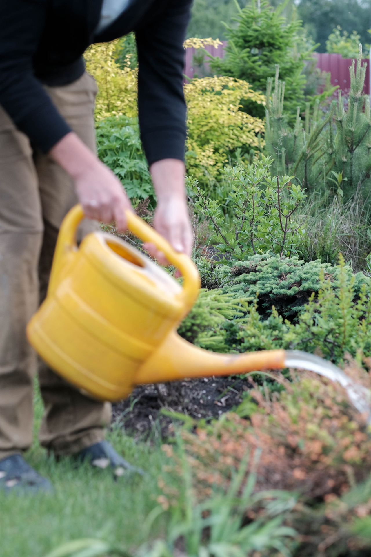 photoforstory project garden 26