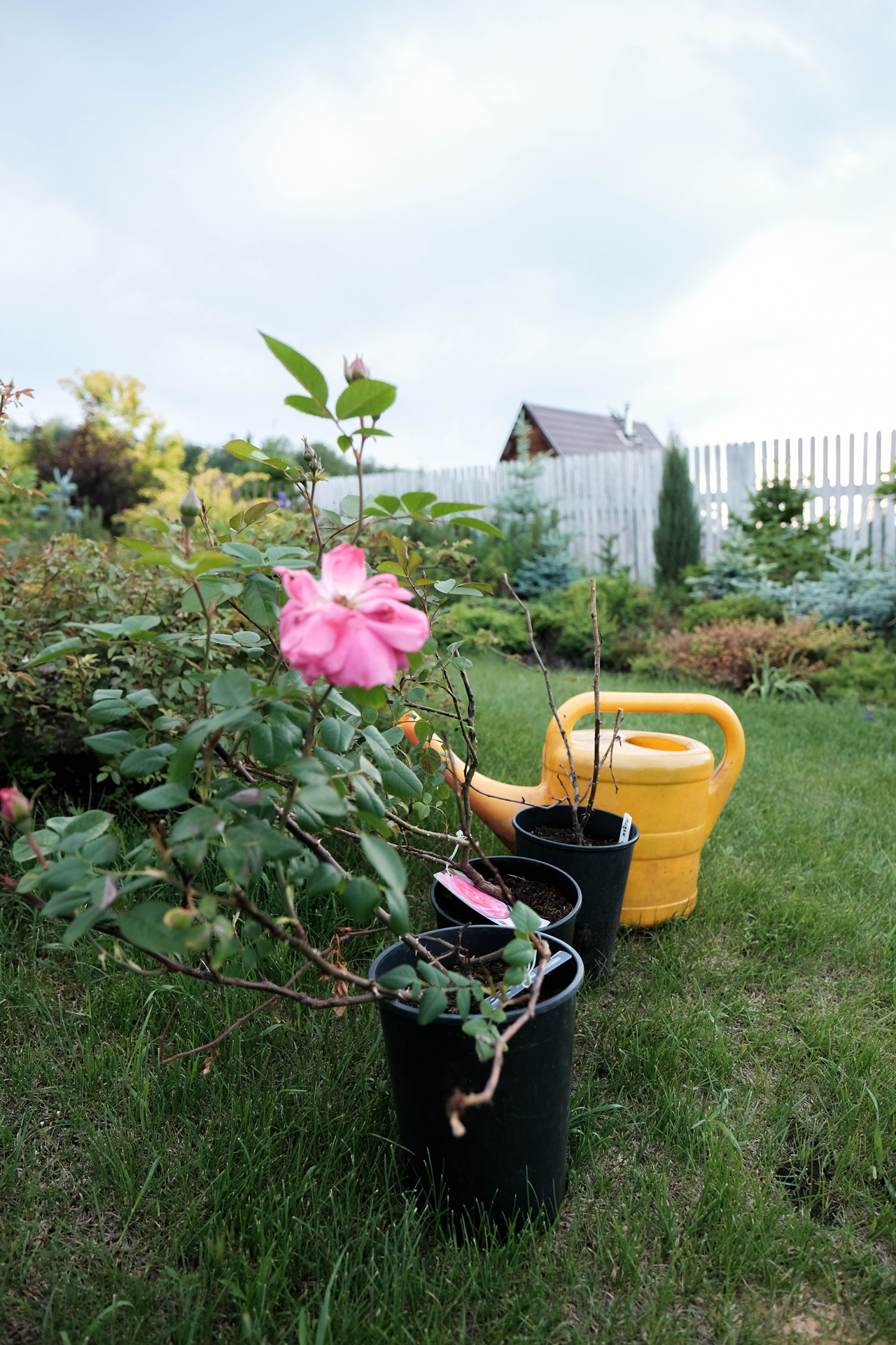 photoforstory project garden 28