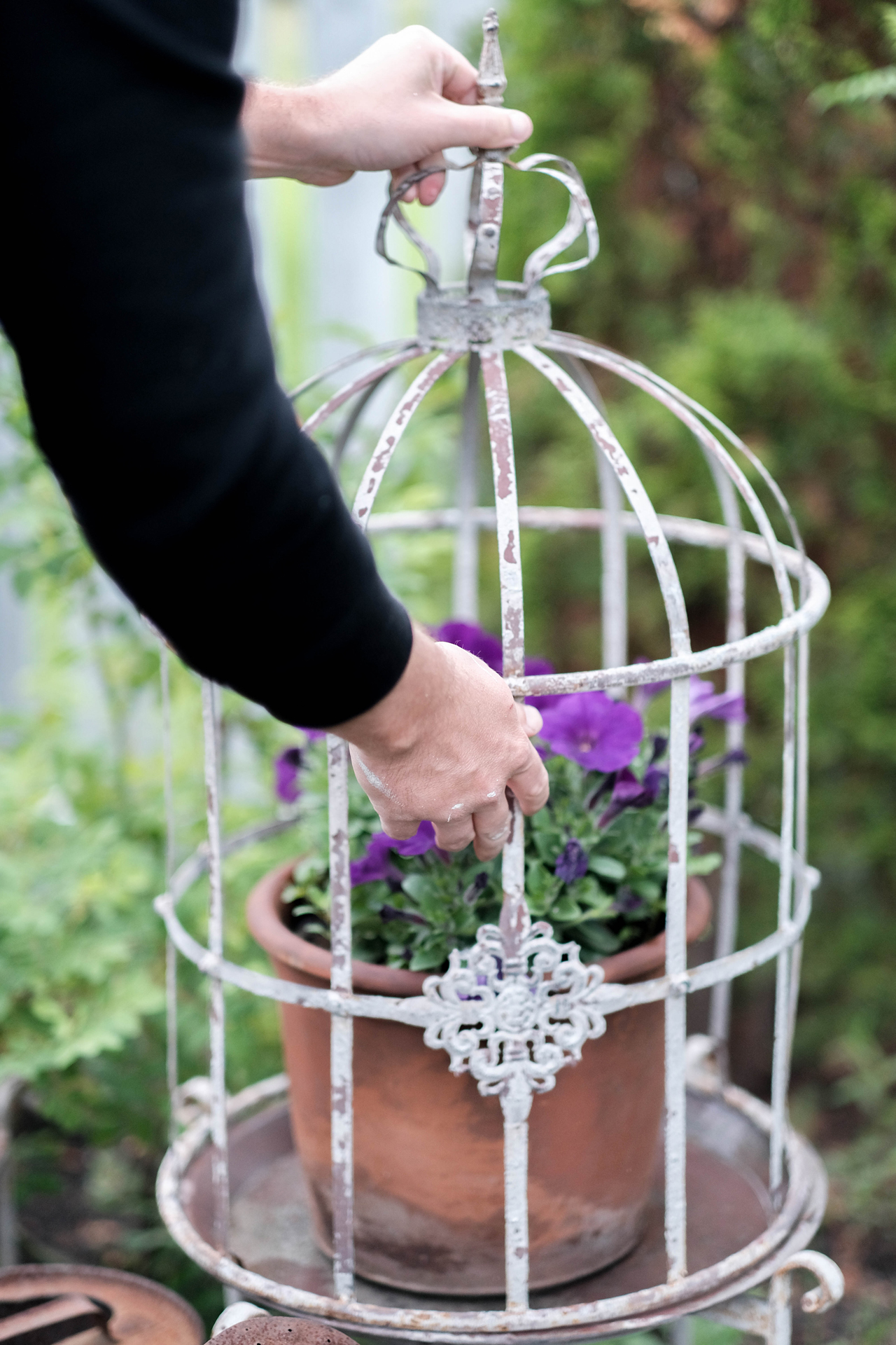 photoforstory project garden 40