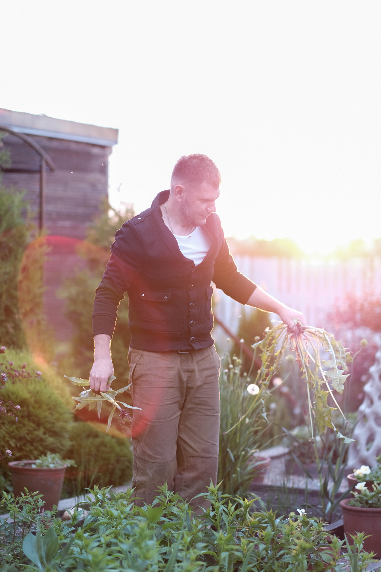 photoforstory project garden 57