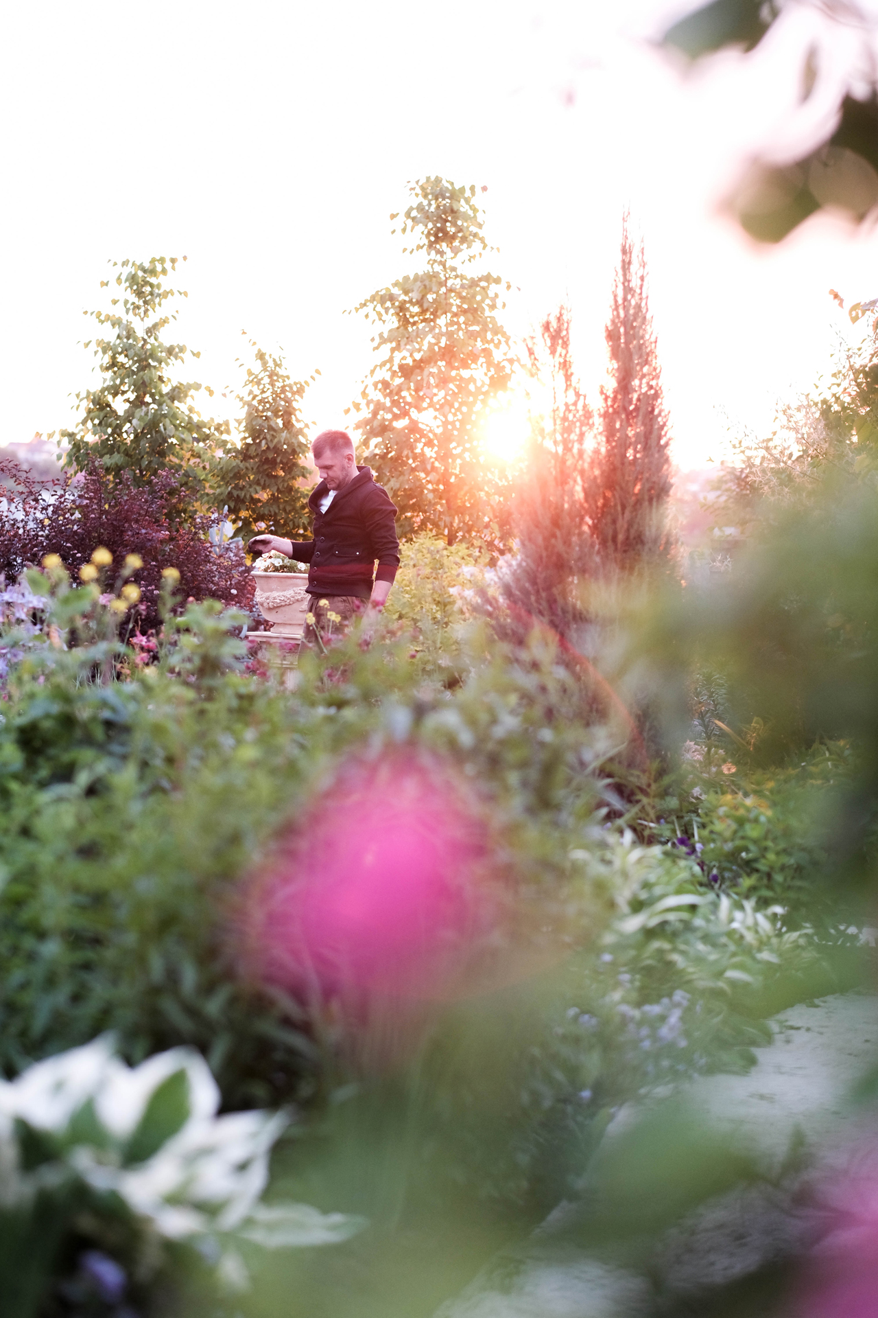 photoforstory project garden 69