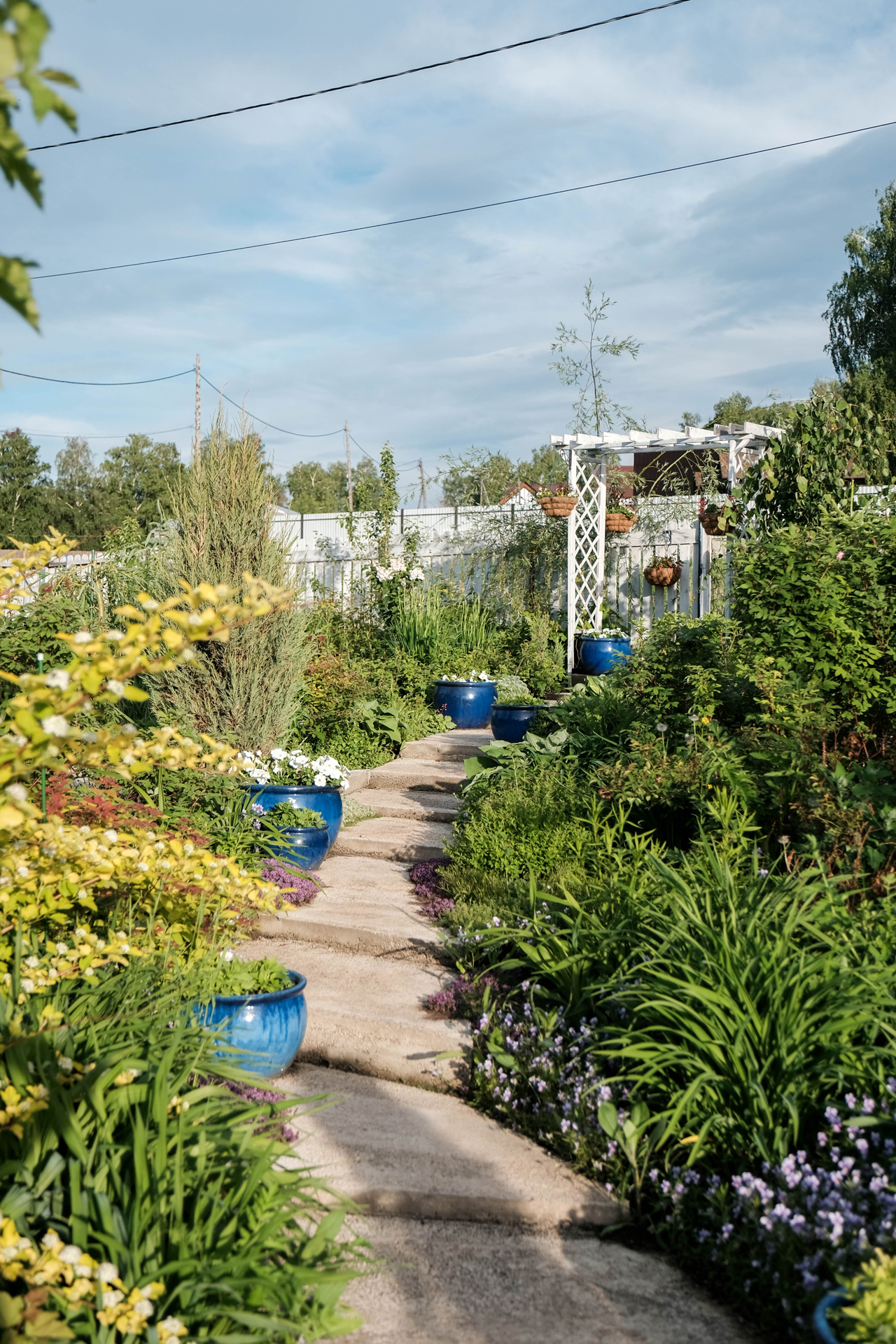 photoforstory project garden 7