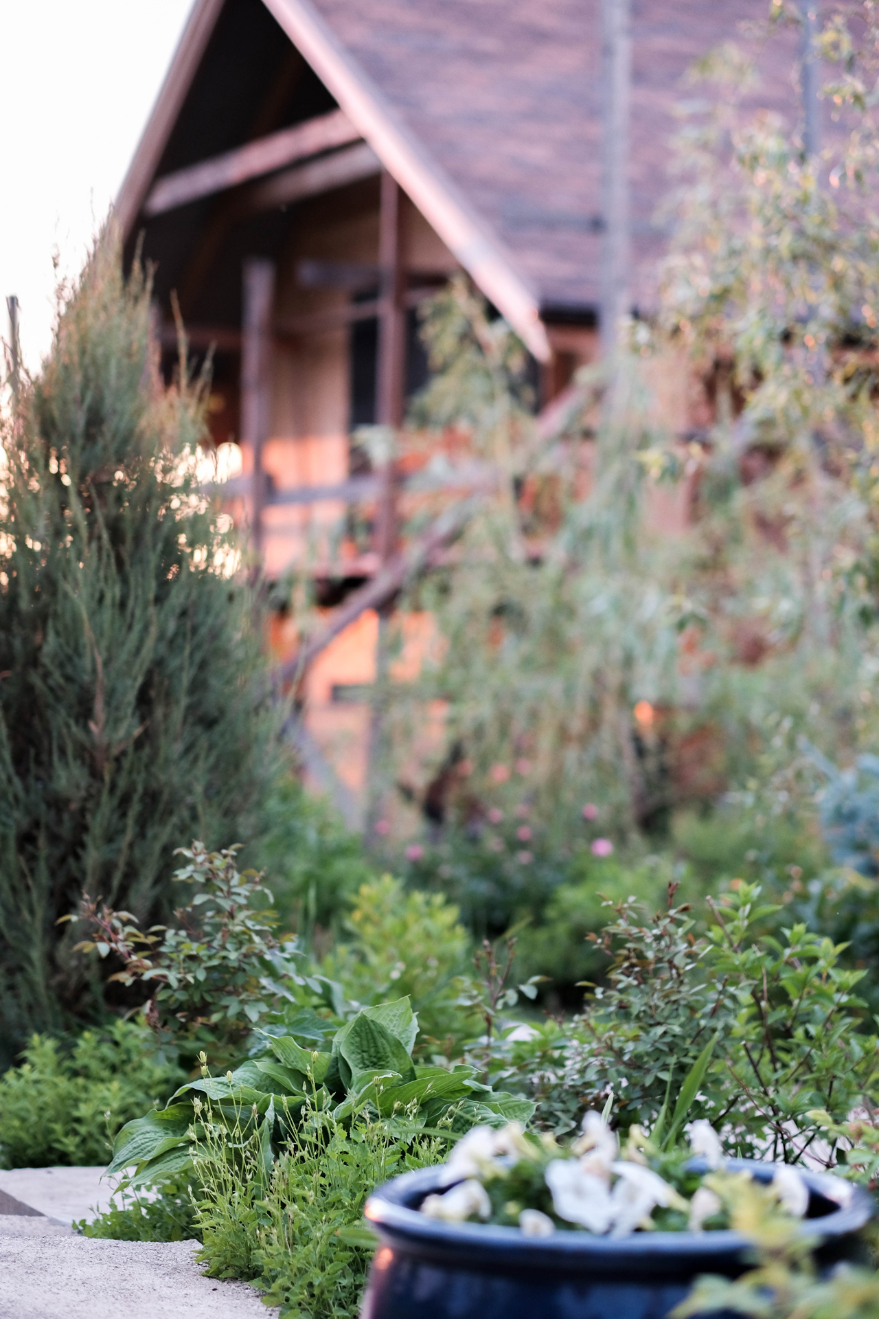 photoforstory project garden 70