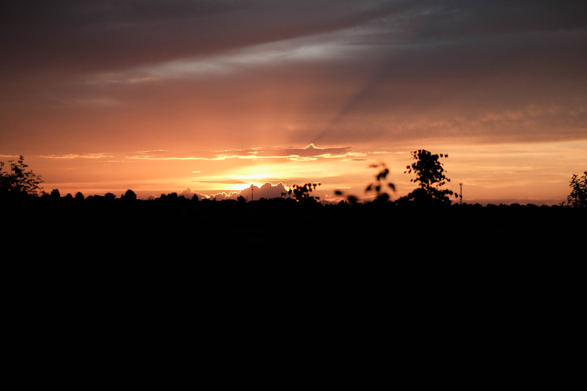 photoforstory project garden 75