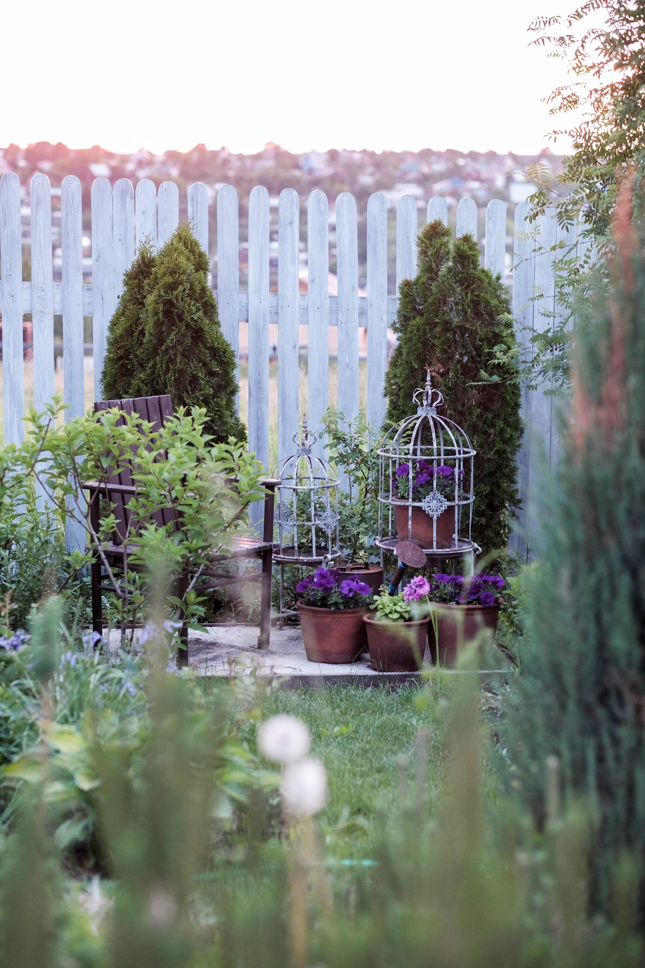 photoforstory project garden 90