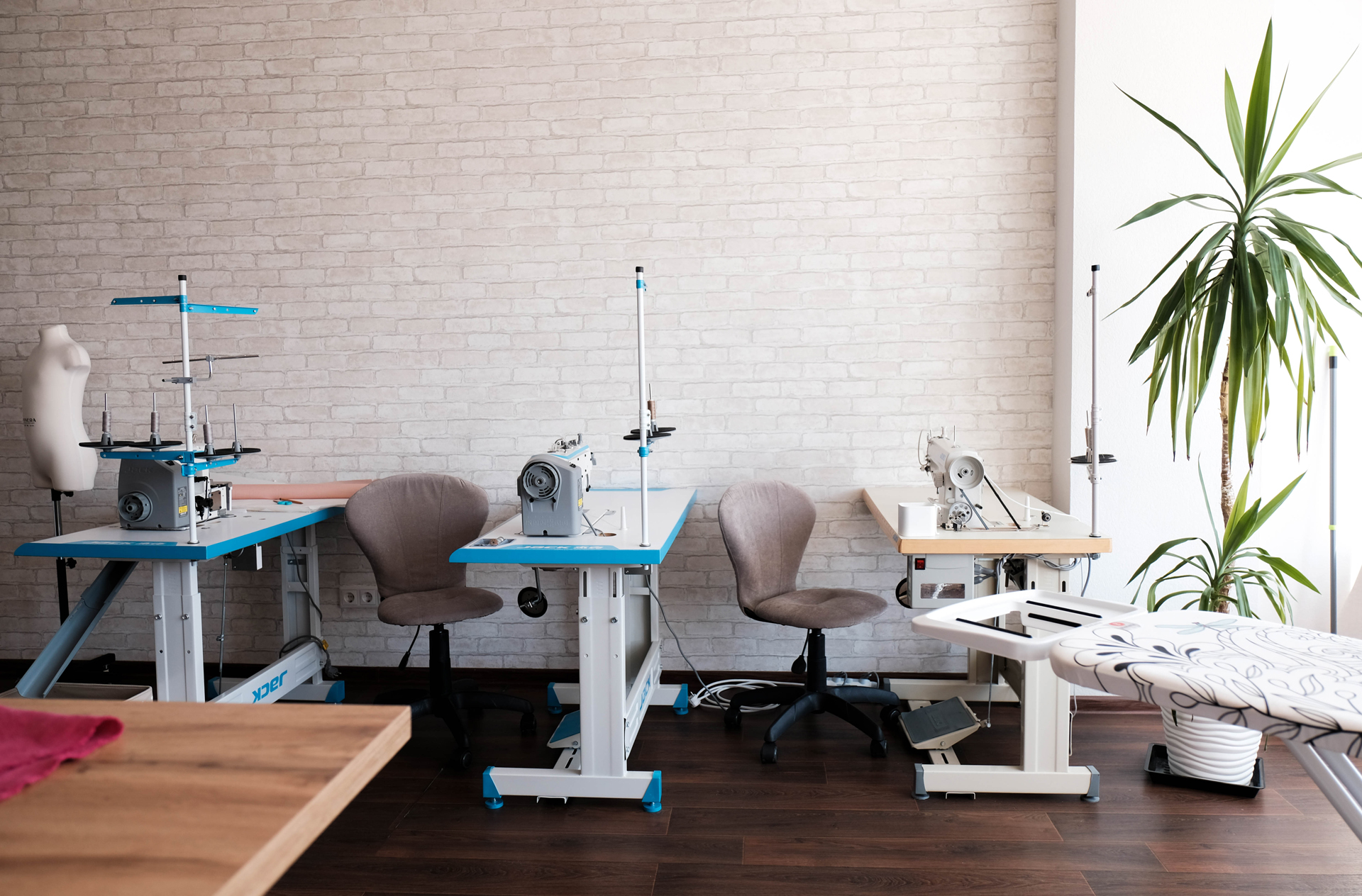 photoforstory project profession 4